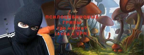 MESCALINE Аркадак