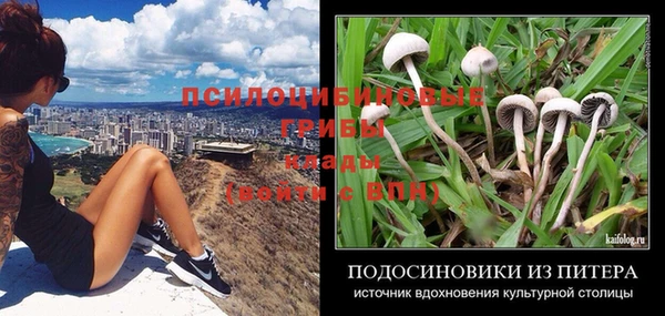 каннабис Арсеньев