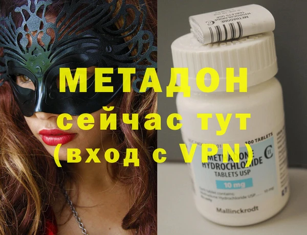 прущие грибы Няндома