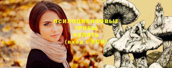 мет Нягань