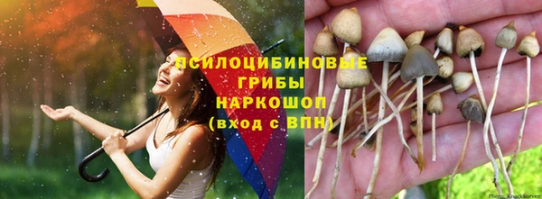 каннабис Арсеньев