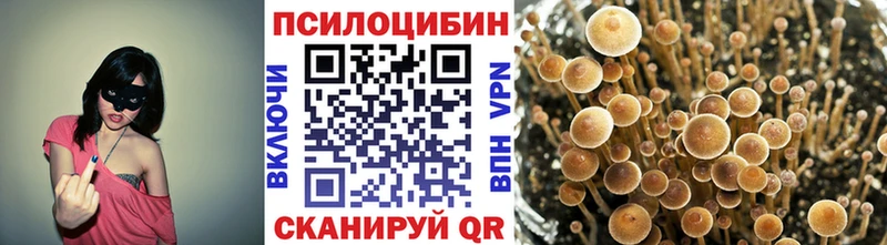 Псилоцибиновые грибы Cubensis Снежногорск